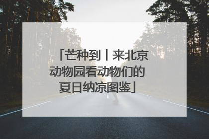 芒种到丨来北京动物园看动物们的夏日纳凉图鉴