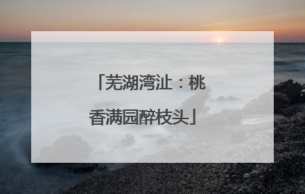 芜湖湾沚：桃香满园醉枝头