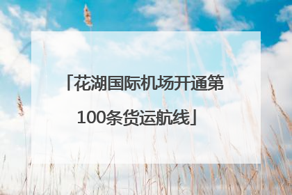 花湖国际机场开通第100条货运航线