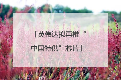英伟达拟再推“中国特供”芯片