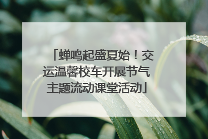 蝉鸣起盛夏始！交运温馨校车开展节气主题流动课堂活动