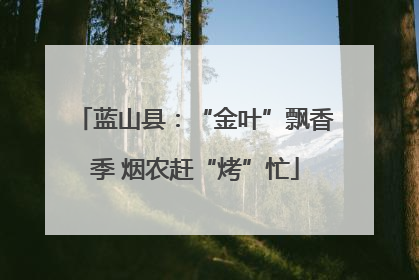 蓝山县：“金叶”飘香季 烟农赶“烤”忙
