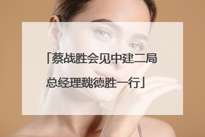 蔡战胜会见中建二局总经理魏德胜一行