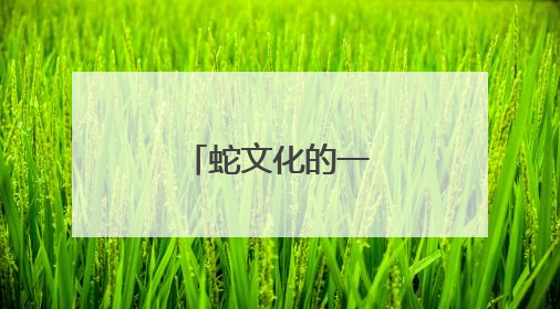 蛇文化的一次集中展示