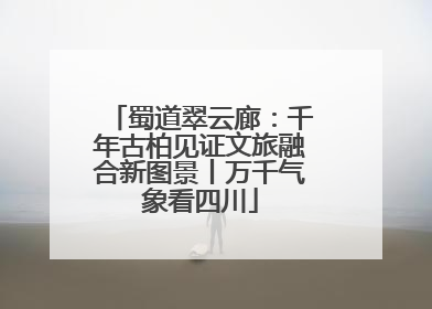 蜀道翠云廊：千年古柏见证文旅融合新图景丨万千气象看四川