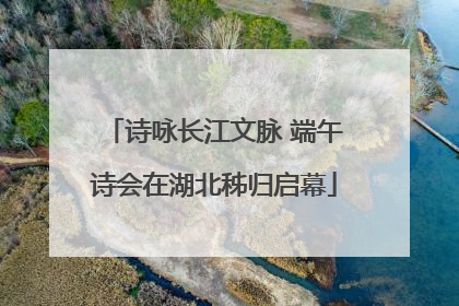 诗咏长江文脉 端午诗会在湖北秭归启幕