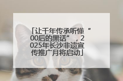 让千年传承听懂“00后的黑话”，2025年长沙非遗宣传推广月将启动