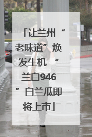让兰州“老味道”焕发生机 “兰白946”白兰瓜即将上市