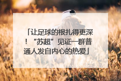 让足球的根扎得更深！“苏超”见证一群普通人发自内心的热爱