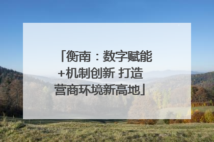 衡南：数字赋能+机制创新 打造营商环境新高地