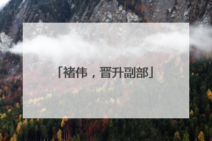 褚伟，晋升副部
