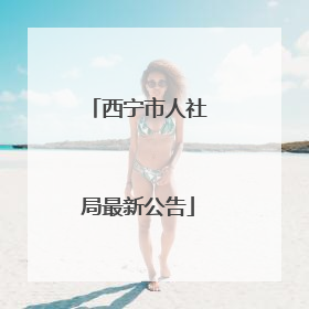 西宁市人社局最新公告