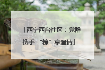 西宁西台社区：党群携手 “粽”享温情