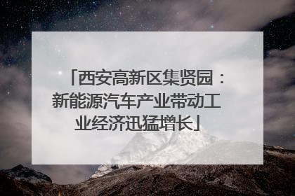 西安高新区集贤园：新能源汽车产业带动工业经济迅猛增长