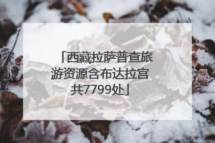 西藏拉萨普查旅游资源含布达拉宫共7799处