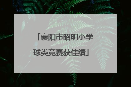 襄阳市昭明小学球类竞赛获佳绩