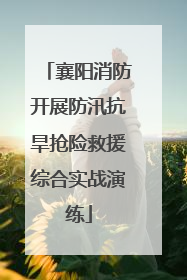 襄阳消防开展防汛抗旱抢险救援综合实战演练