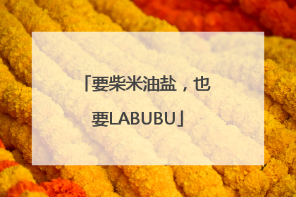 要柴米油盐，也要LABUBU