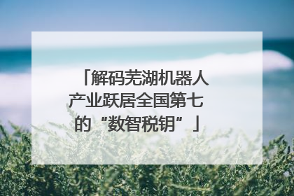 解码芜湖机器人产业跃居全国第七的“数智税钥”