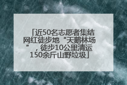 近50名志愿者集结网红徒步地“天鹅林场”，徒步10公里清运150余斤山野垃圾