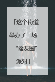这个街道举办了一场“盆友圈”派对