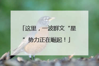 这里，一波群文“星”势力正在崛起！