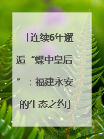 连续6年邂逅“蝶中皇后”：福建永安的生态之约