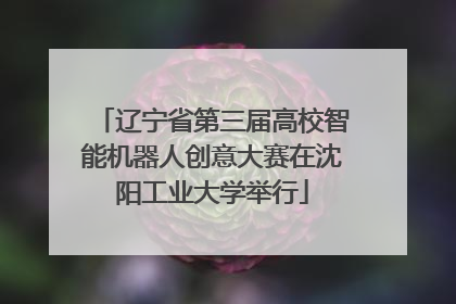 辽宁省第三届高校智能机器人创意大赛在沈阳工业大学举行