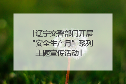 辽宁交警部门开展“安全生产月”系列主题宣传活动