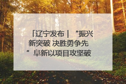 辽宁发布｜“振兴新突破 决胜勇争先”阜新以项目攻坚破解发展瓶颈 经济发展实现良好开局