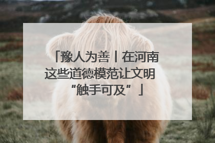 豫人为善丨在河南这些道德模范让文明“触手可及”