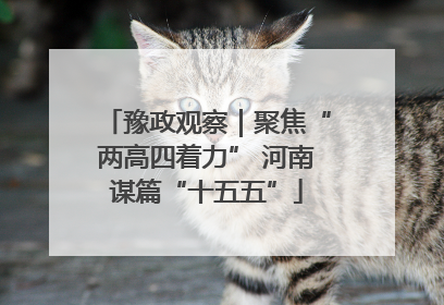 豫政观察｜聚焦“两高四着力” 河南谋篇“十五五”