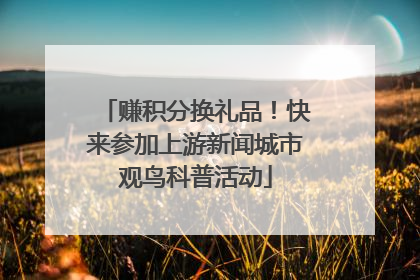赚积分换礼品！快来参加上游新闻城市观鸟科普活动
