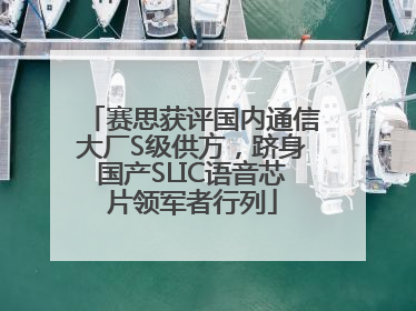 赛思获评国内通信大厂S级供方，跻身国产SLIC语音芯片领军者行列