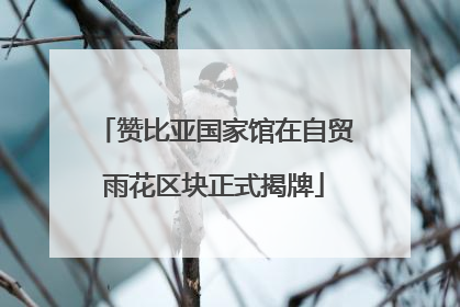 赞比亚国家馆在自贸雨花区块正式揭牌