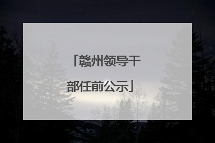 赣州领导干部任前公示