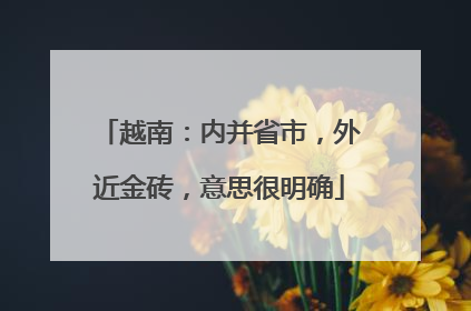 越南：内并省市，外近金砖，意思很明确