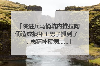 跳进兵马俑坑内推拉陶俑造成损坏！男子抓到了，患精神疾病……