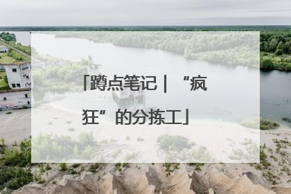 蹲点笔记｜“疯狂”的分拣工