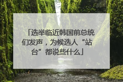 选举临近韩国前总统们发声，为候选人“站台”都说些什么