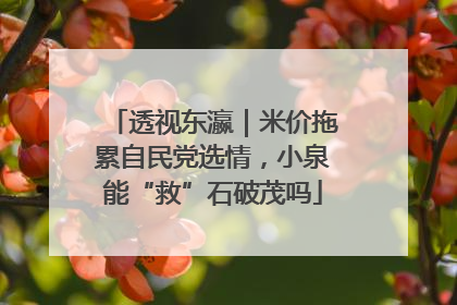 透视东瀛｜米价拖累自民党选情，小泉能“救”石破茂吗