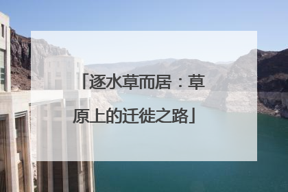 逐水草而居：草原上的迁徙之路