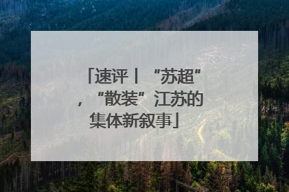 速评丨“苏超”，“散装”江苏的集体新叙事