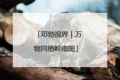 邓勃视界｜万物同栖岭南图