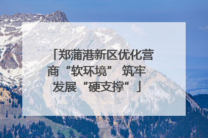 郑蒲港新区优化营商“软环境” 筑牢发展“硬支撑”