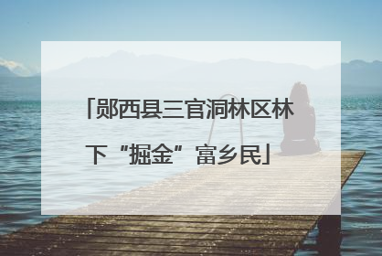 郧西县三官洞林区林下“掘金”富乡民