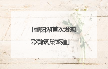鄱阳湖首次发现彩鹮筑巢繁殖