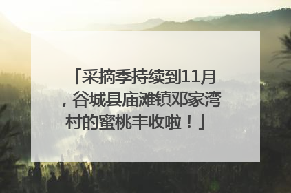 采摘季持续到11月，谷城县庙滩镇邓家湾村的蜜桃丰收啦！