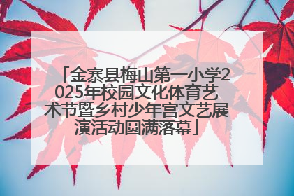 金寨县梅山第一小学2025年校园文化体育艺术节暨乡村少年宫文艺展演活动圆满落幕