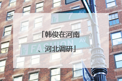 韩俊在河南、河北调研